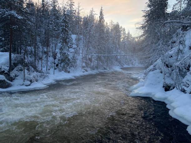 istock Oulanka national park waterfront 1293875423