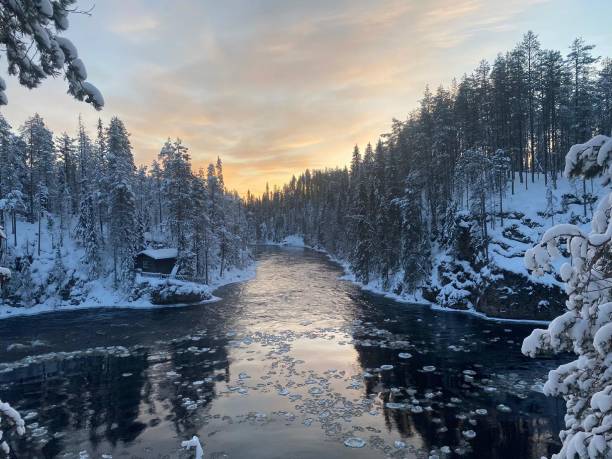 istock Oulanka national park waterfront 1293875441