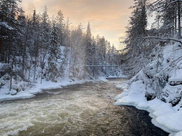 istock Oulanka national park waterfront 1293875455