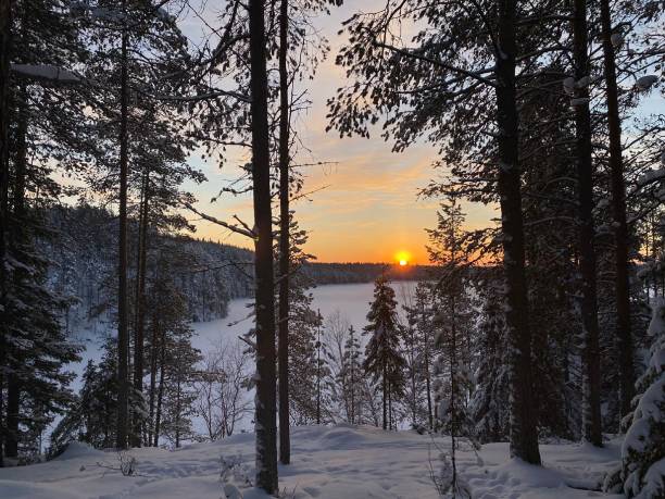 istock Oulanka national park waterfront 1293875459