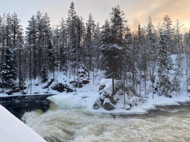 istock Oulanka national park waterfront 1293875490
