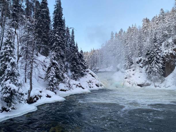 istock Oulanka national park waterfront 1293876017