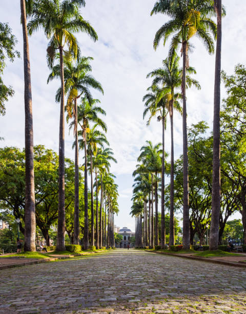rue principale à l’immeuble du gouvernement - green woods forest southern brazil photos et images de collection