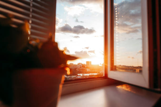 istock Bright evening sun in the open window 1293879028