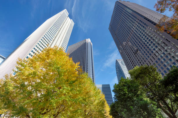 istock Business district, skyscrapers and trees 1293882276