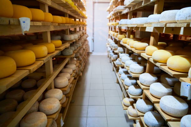 istock Cheese factory production shelves with aging old cheese 1293883776
