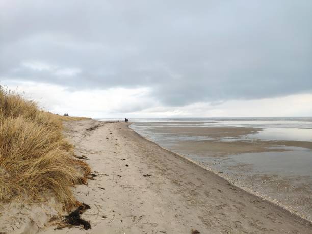 istock Baltic seascape at winter 1293886407