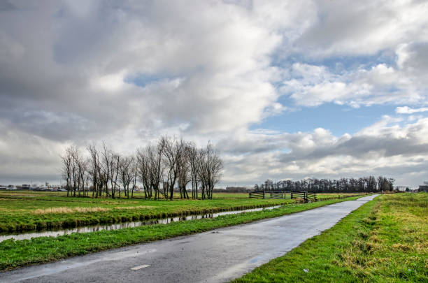 istock Road in Dutch landscape 1293892122