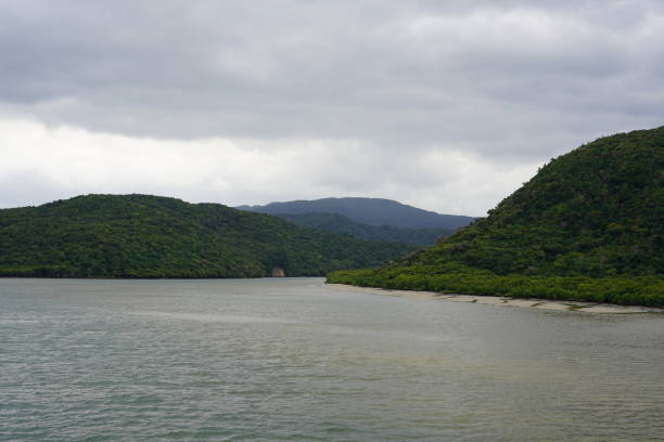 istock Mangrove forest and bay in Iriomote Island 1293892865