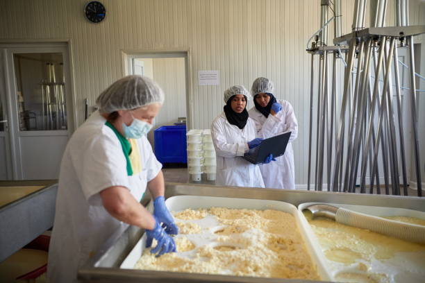 istock Workers preparing raw milk for cheese production 1293894148