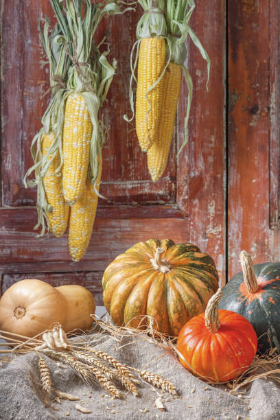 오래된 나무 문을 배경으로 시골 집에서 다양한 색상과 크기의 호박 과일과 가을 정물 - decoration corn door corn crop 뉴스 사진 이미지