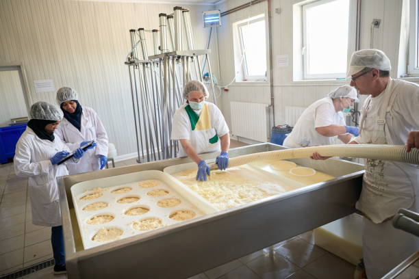 istock Workers preparing raw milk for cheese production 1293899442