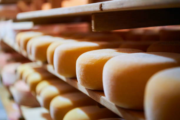 istock Cheese factory production shelves with aging old cheese 1293901240