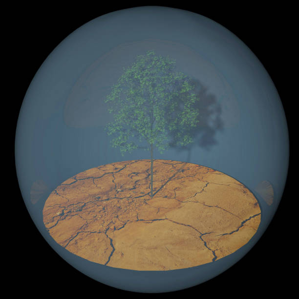 istock Plant and ground in a bubble 1293901600