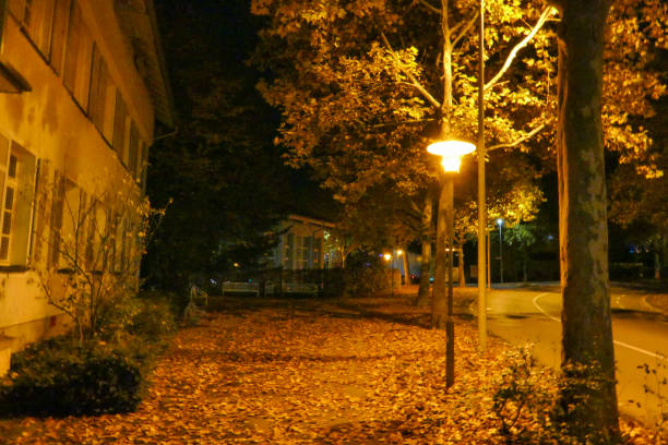 istock a yellow night in autumn 1293904317