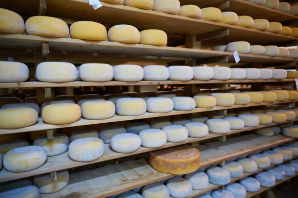 istock Cheese factory production shelves with aging old cheese 1293905377