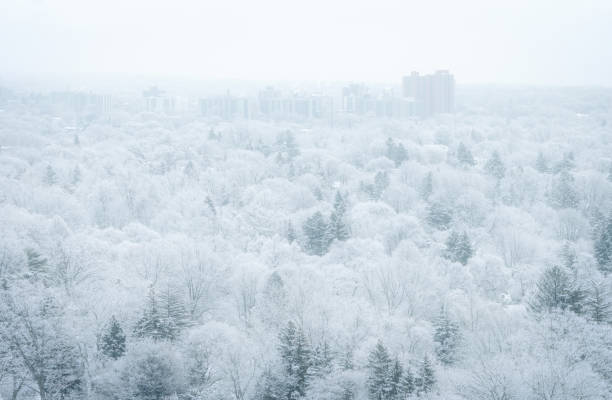 istock City Winter Landscape 1293906182