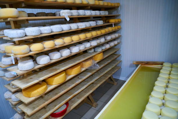 istock Cheese factory production shelves with aging old cheese 1293906262