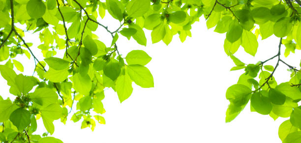 istock Banner image of CSR 1293912439