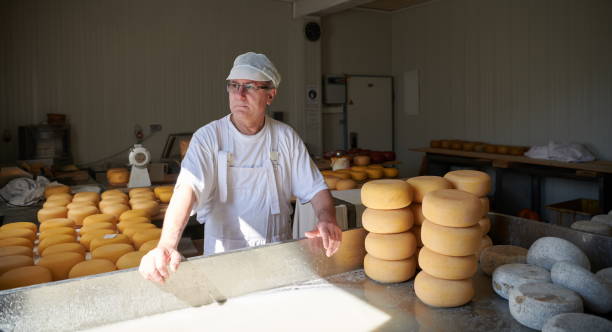 istock Cheese maker at local production factory 1293918320