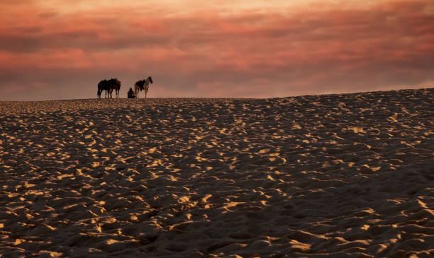 istock Sunsetting over Beach in Cabo San Lucas, Mexico 1293918406