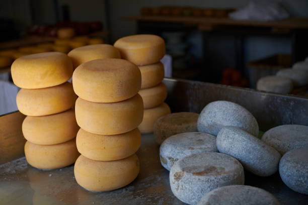 istock Cheese factory production shelves with aging old cheese 1293921255