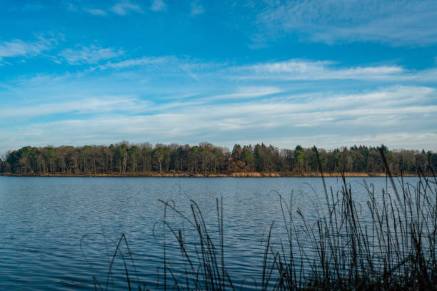 View across Grabowsee lake near Friedrichsthal on a sunny winter day