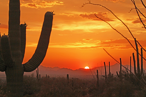Photos taken in and around the Tucson, Arizona area including photos from the Sahuaro National Monument (East and West). There is nothing like an Arizona sunset that radiates vibrant colors into the night.