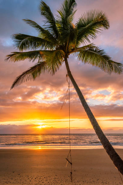 istock Sunrise in Paradise 1293927750