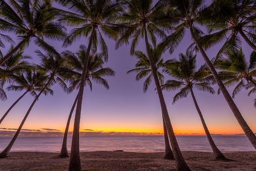 Early morning at the Palm Cove beech in tropical North Queensland