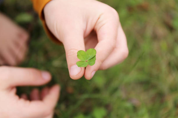 istock Child's Hand Holding Lucky Four Leaf Clover Plant 1293930660
