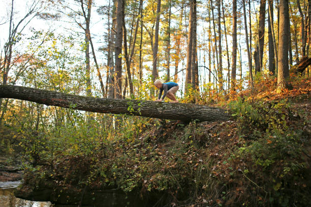 jeune enfant jouant sur l’arbre cassé haut au-dessus de la rivière dans les bois - tree stream forest woods photos et images de collection