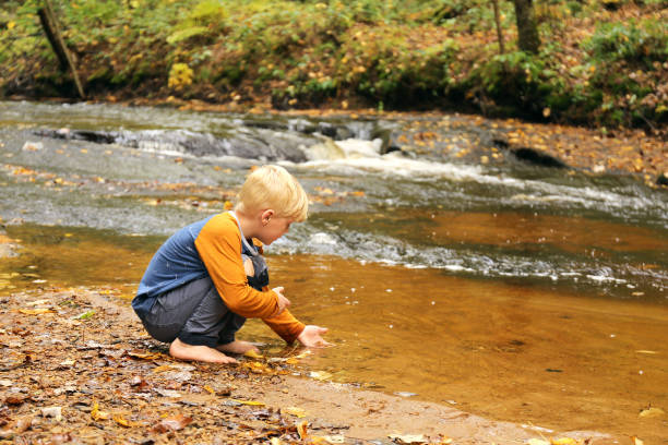 istock Young Child Playing in River Near Waterfall in Forest 1293930769