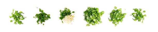 chopped greens, garlic and parsley set isolated - parsley cilantro leaf leaf vegetable imagens e fotografias de stock