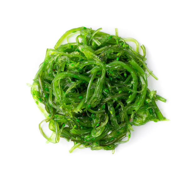 istock Chukka Seaweed Salad Isolated on White Background 1293931053