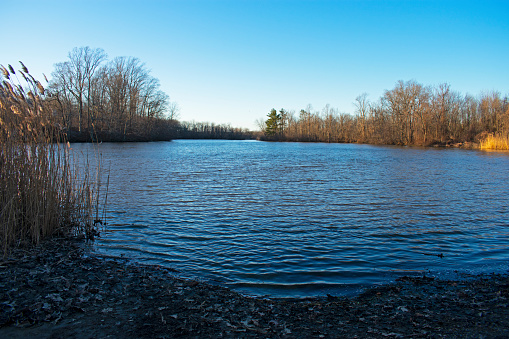 It's a cold, sunny afternoon in early winter with clear skies at Lake Marlu in Thompson Park, Holmdel, New Jersey, USA.