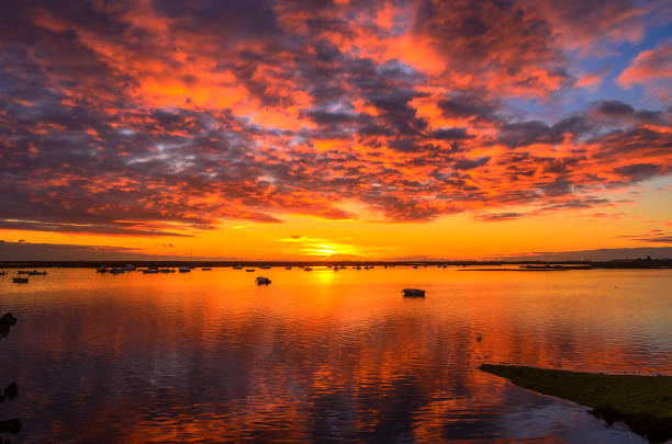 Ria Formosa Sunset on Ria Formosa, Faro, Algarve, Portugal lagoon stock pictures, royalty-free photos & images