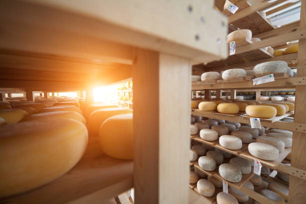 istock Cheese factory production shelves with aging old cheese 1293934600