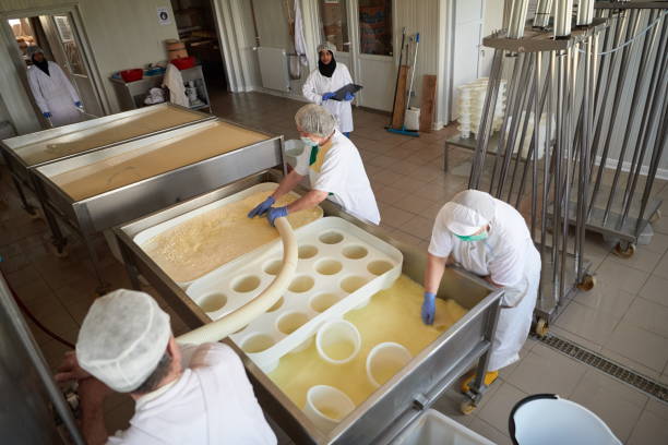 istock Workers preparing raw milk for cheese production 1293936606
