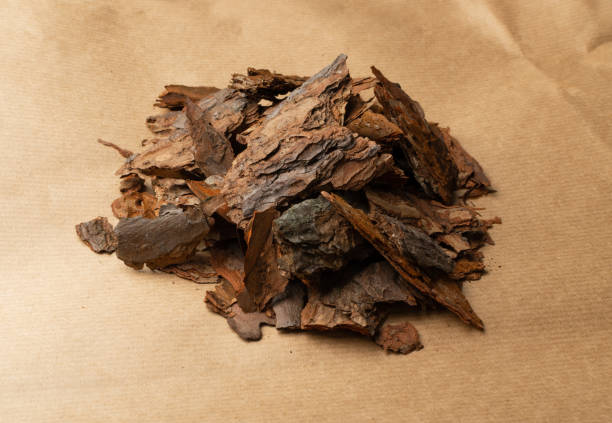 istock Heap of Pine Tree Bark Chip on Old Paper Background 1293937232