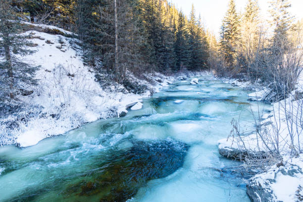 le débit rapide de la rivière parmi les montagnes et les pins. beau paysage d’hiver. eau cristalline dans la rivière. - ice crystal landscape rapid river photos et images de collection