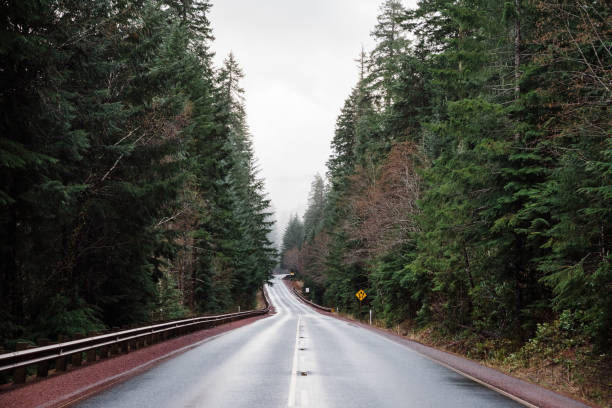 istock Empty highway in Mt Hood National Forest, Oregon 1293944635