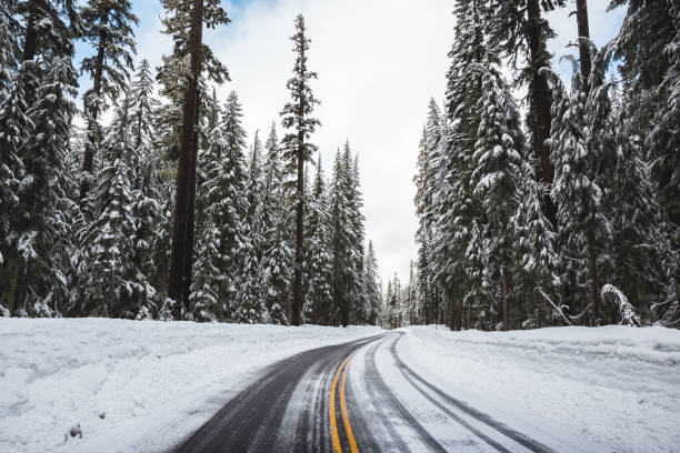 istock Winter drive on Crater Lake Highway, Oregon 1293944657