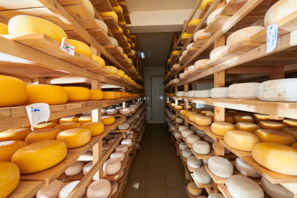 5,300+ Cheese Storage Stock Photos, Pictures & Royalty-Free Images - iStock
