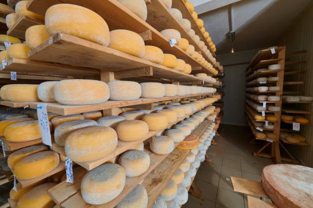 istock Cheese factory production shelves with aging old cheese 1293947394
