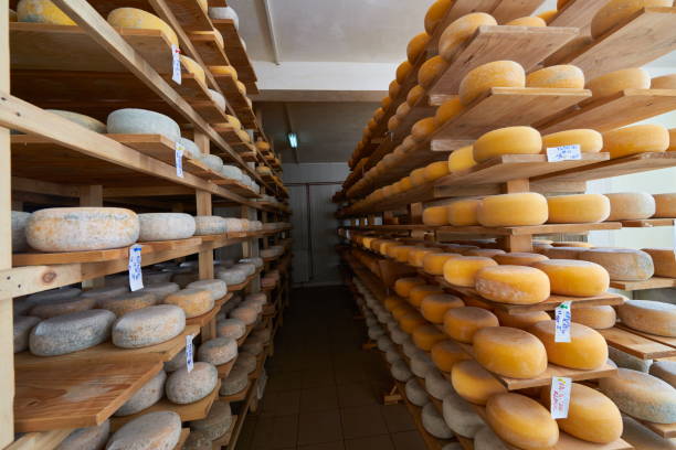 istock Cheese factory production shelves with aging old cheese 1293949633