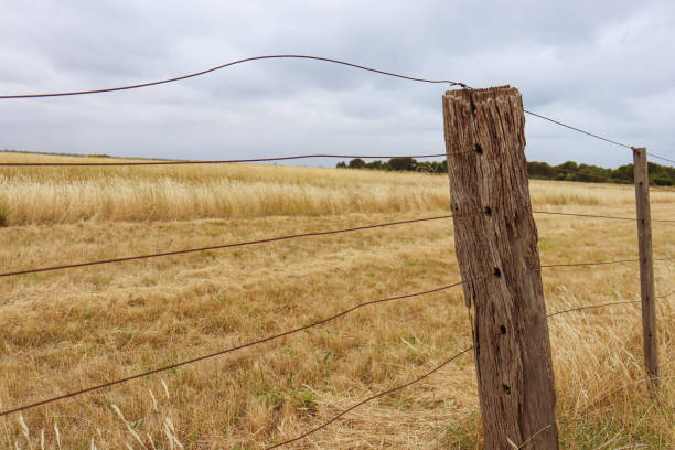 istock fence in australian field 1293950306