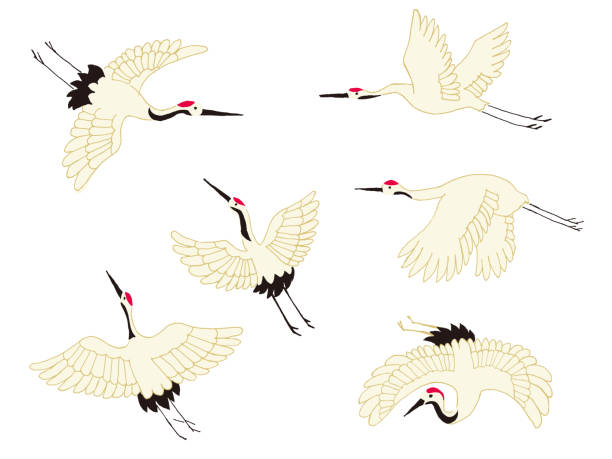 Japanese crane icon on a white background illustration Japanese crane icon on a white background illustration japanese crane stock illustrations