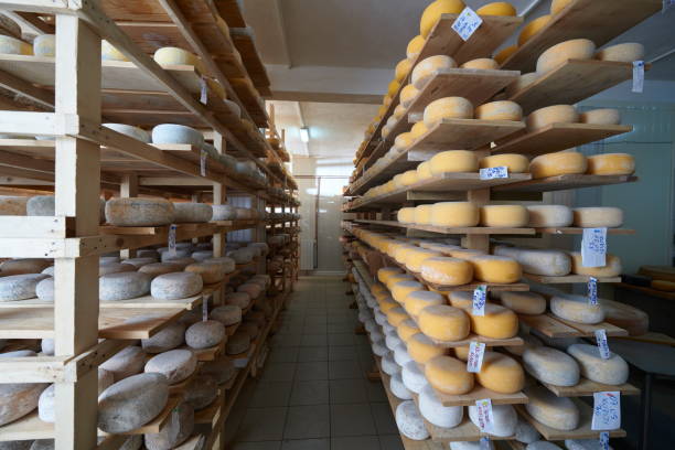 istock Cheese factory production shelves with aging old cheese 1293950981