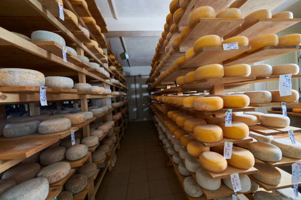istock Cheese factory production shelves with aging old cheese 1293951146